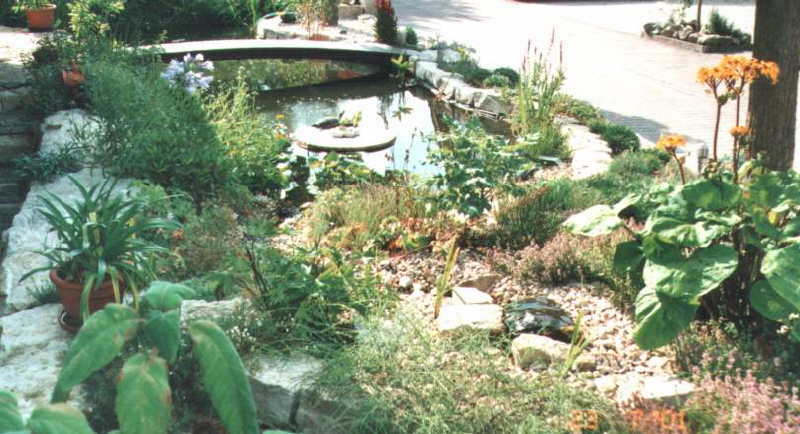 gartenteich schildkroeten wasserschildkroete.info